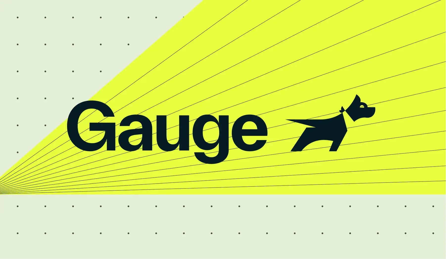 What is Gauge?